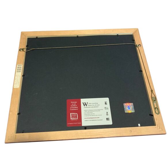 Southern Illinois University Carbondale Official Diploma Frame - Picture 6 of 12